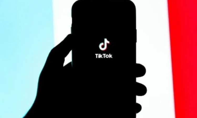 Ide konten tiktok, Sumber: snobmonkey.com